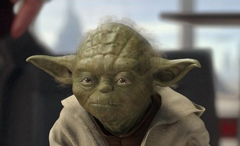 yoda.jpg